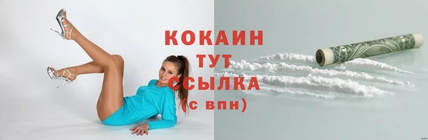 дживик Кинешма