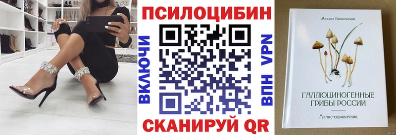 площадка телеграм  Кандалакша  Галлюциногенные грибы прущие грибы  наркота 